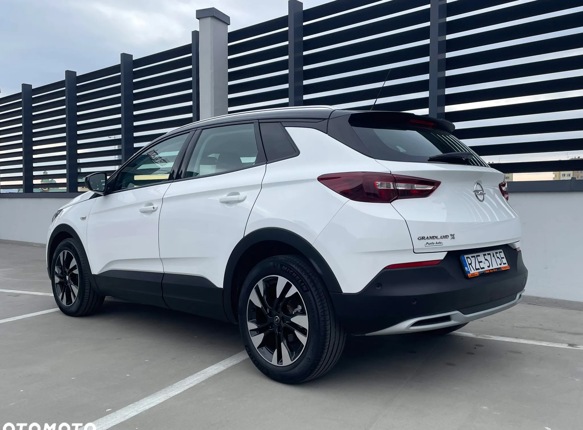 Opel Grandland X cena 89900 przebieg: 45200, rok produkcji 2021 z Rzeszów małe 704